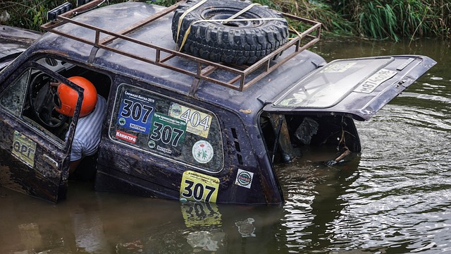 仅仅依靠出 仅仅依靠出