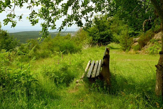 局势掌控 局势掌控