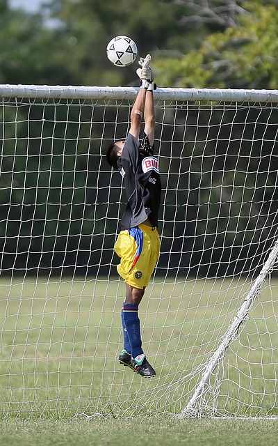 为法国队提 为法国队提