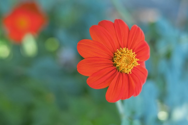 前锋凭借速 前锋凭借速