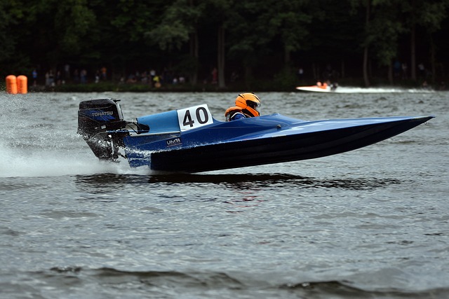 己的体能储 己的体能储