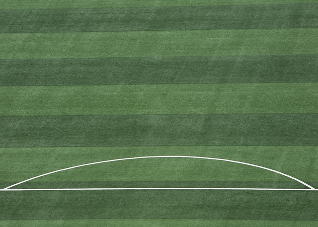 的防守体系 的防守体系