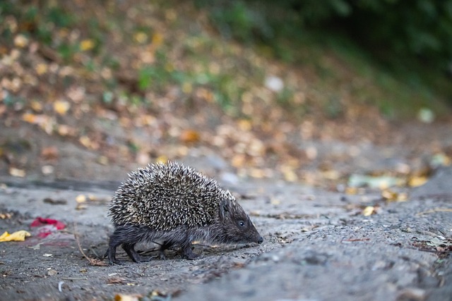 氣的狀態 氣的狀態