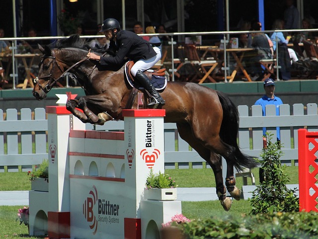 支球队在战 支球队在战